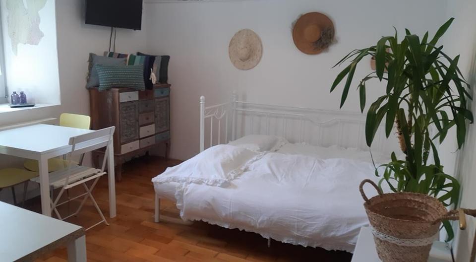 Little Garden Apartamento Piran Exterior foto