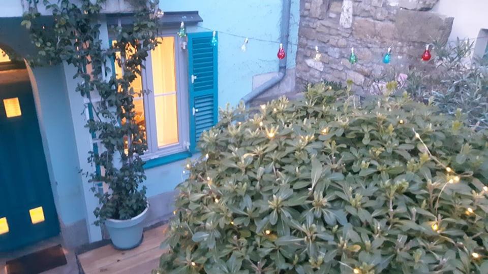 Little Garden Apartamento Piran Exterior foto
