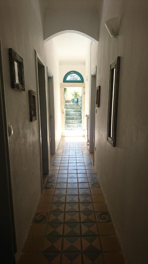 Little Garden Apartamento Piran Exterior foto